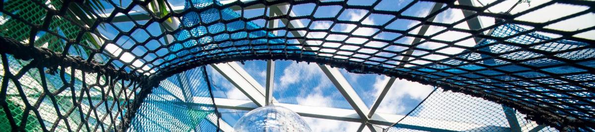 a glass ceiling of a building with a window