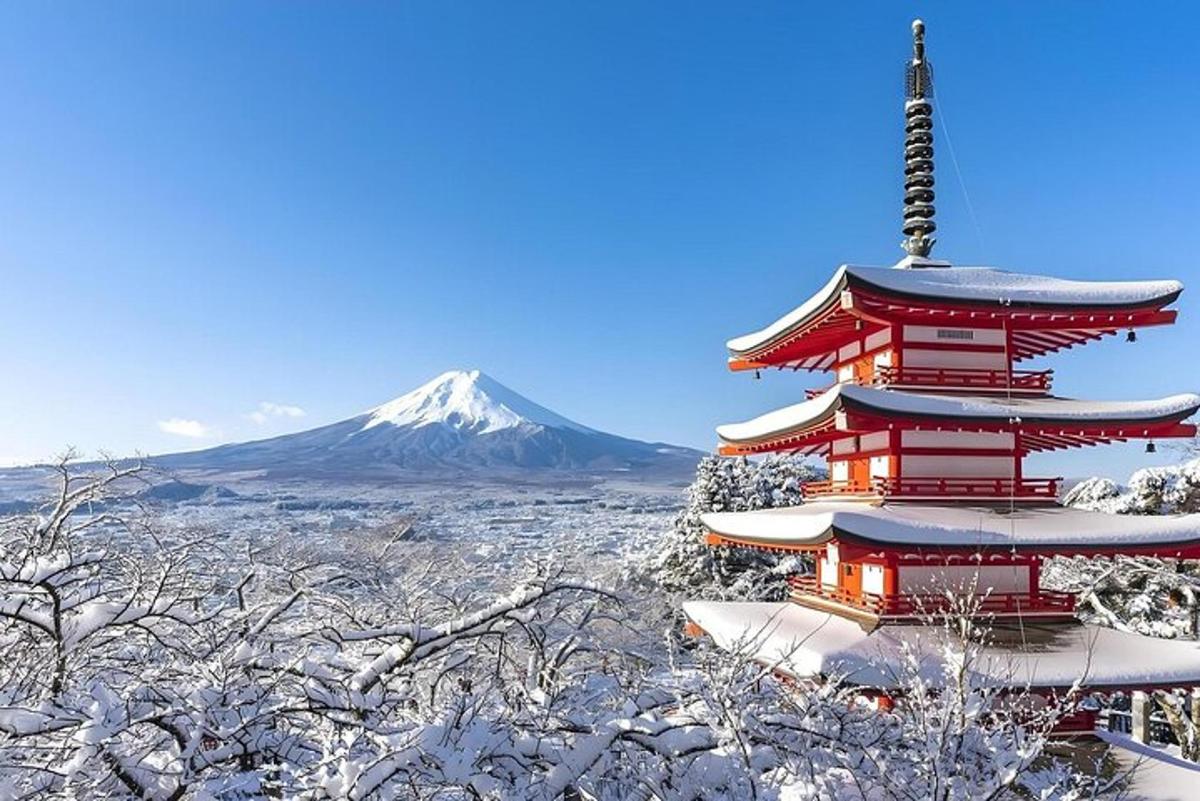 a pagoda in the snow with a mountain in the background