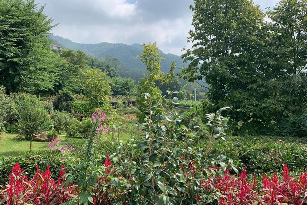 一座种满鲜花和树木的花园