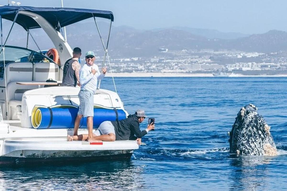 um grupo de pessoas em um barco com uma baleia na água