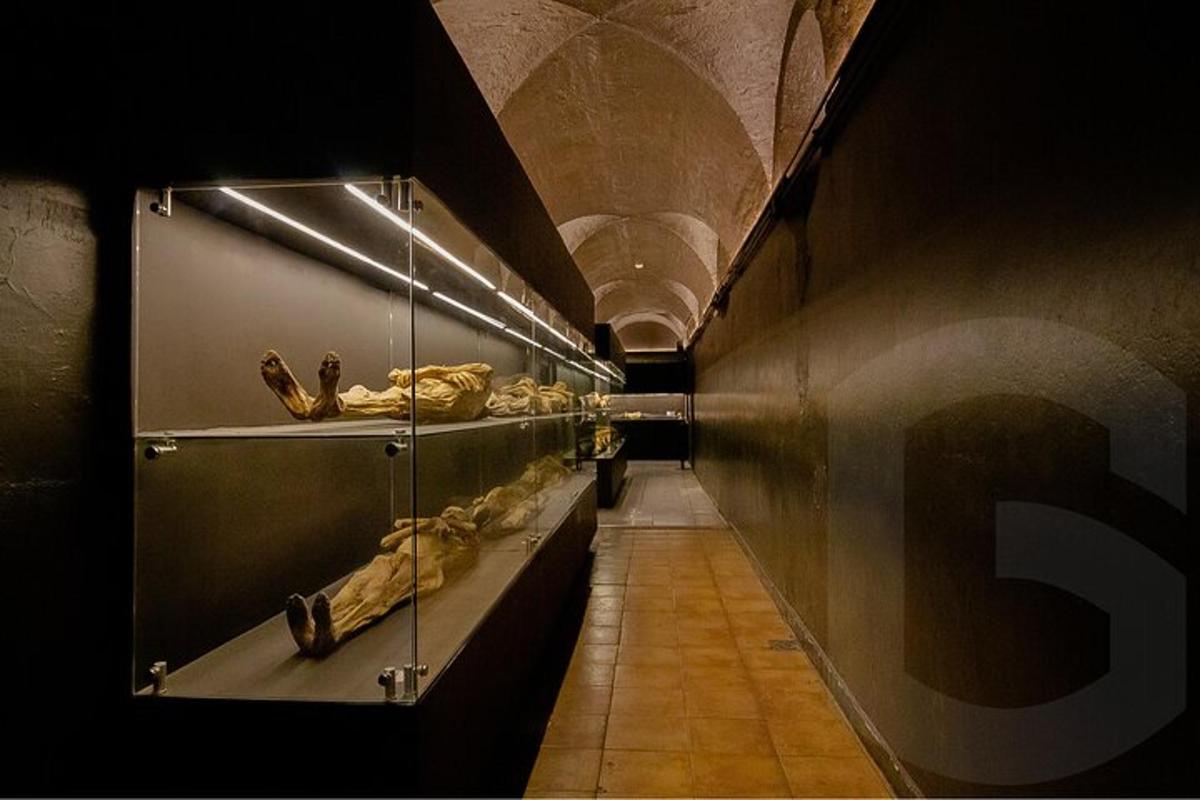 a long hallway in a museum with shoes on display