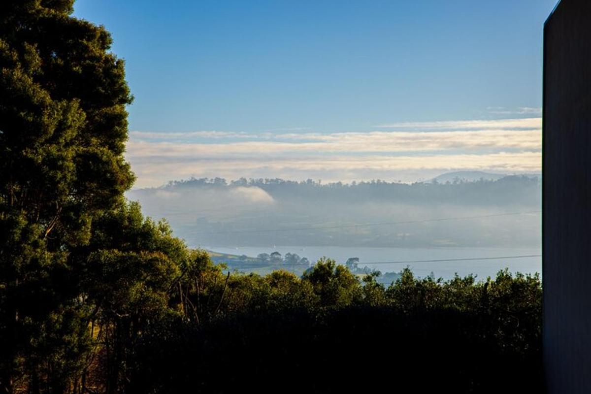 a view of the ocean from a hill with trees