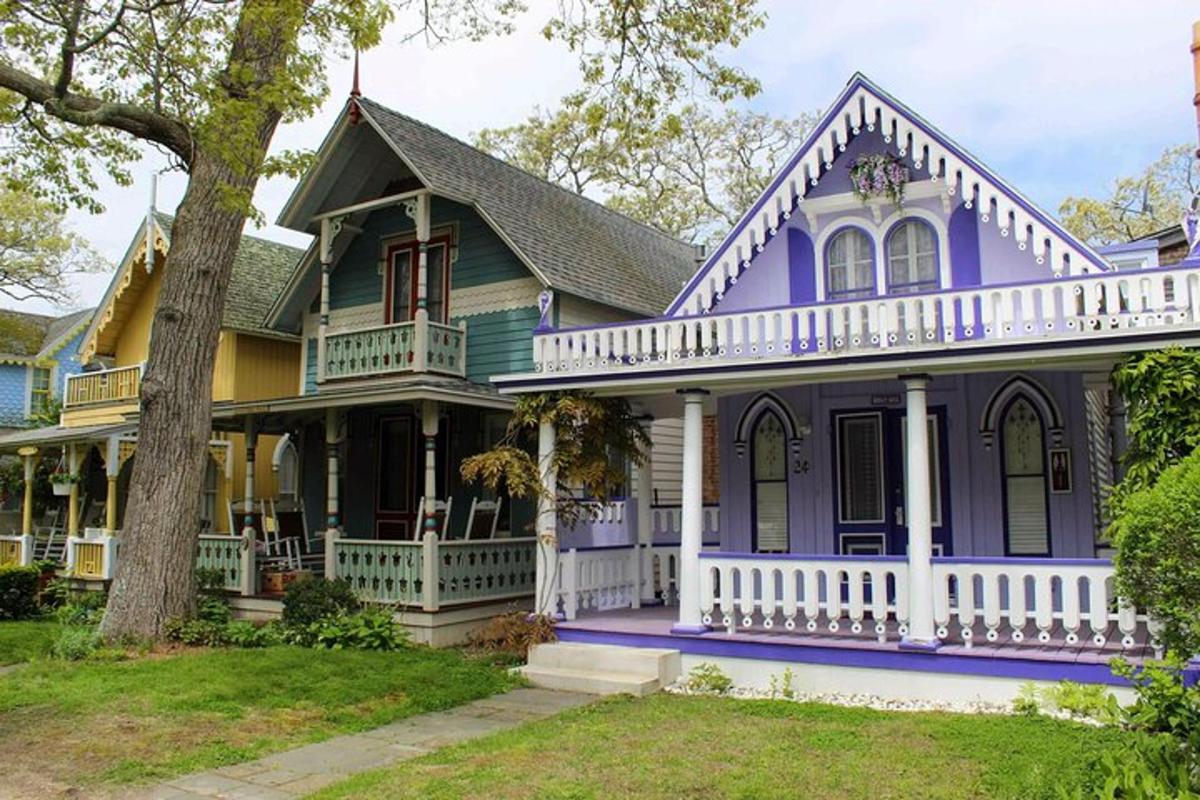 a purple and yellow house with a tree