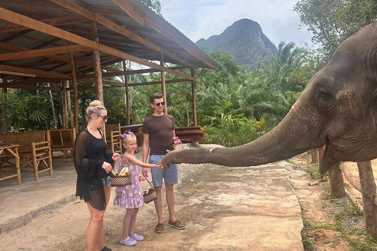 a family feeding an elephant with its trunk