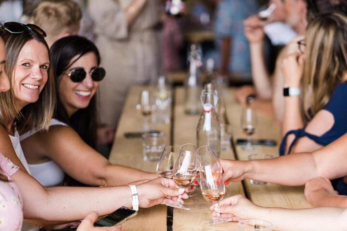 um grupo de mulheres sentadas à mesa com taças de vinho