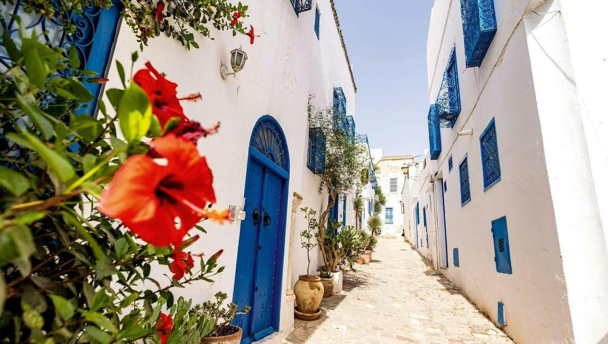 an alley with a blue door and a red flower