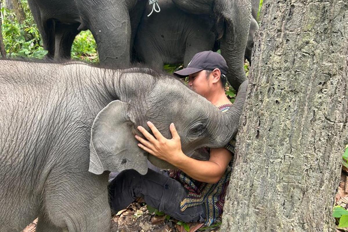 a man is holding a baby elephant next to a tree