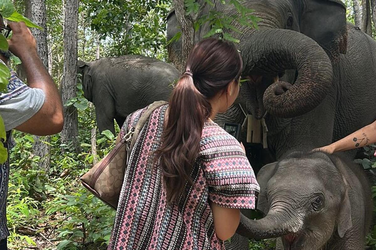 a young girl is petting a baby elephants trunk