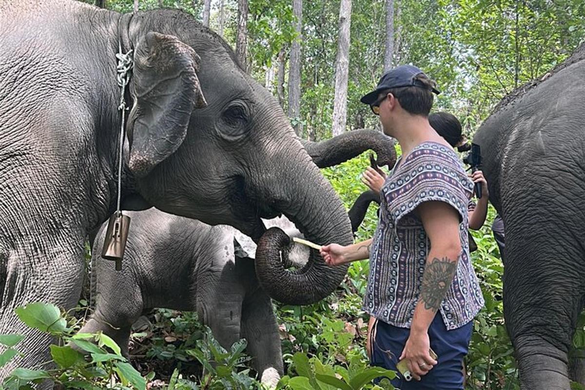 a woman feeding a baby elephant with its trunk