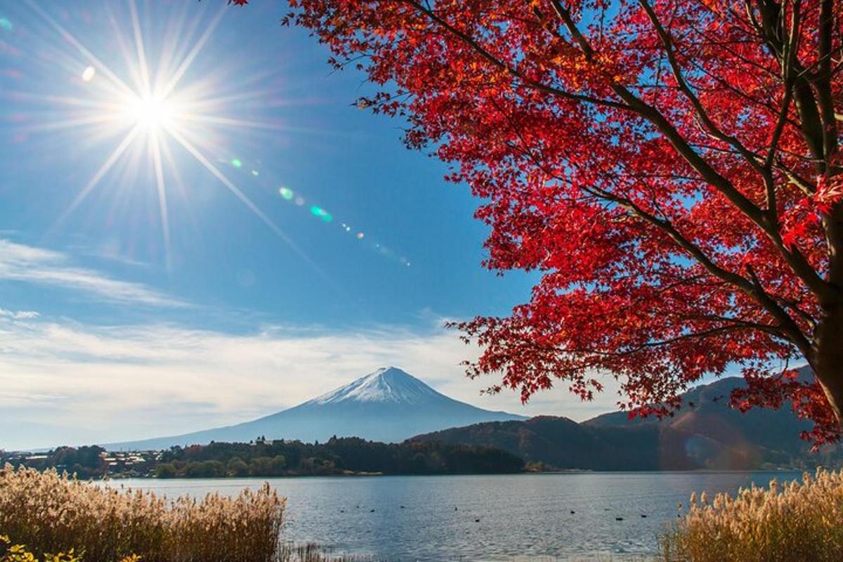 una muntanya al fons amb un arbre i un llac