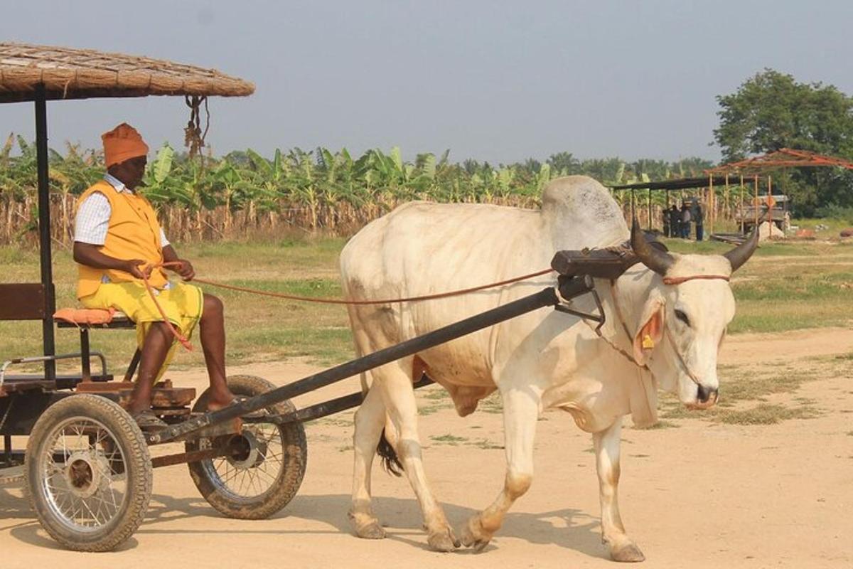a man on a cart being pulled by a cow