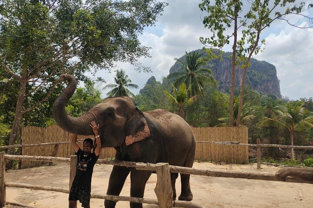 a boy standing next to an elephant with its trunk on a fence