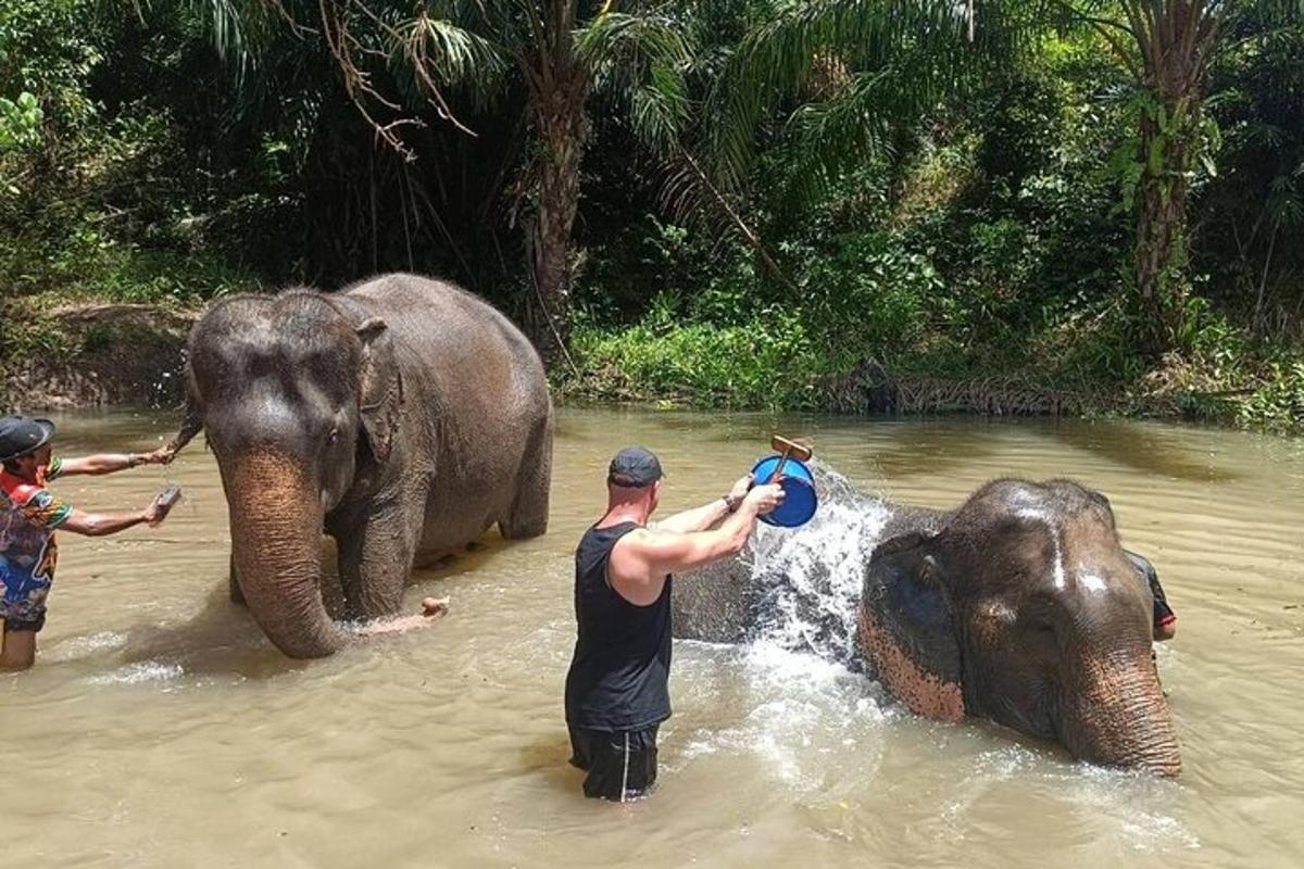 a man is washing two elephants in the water