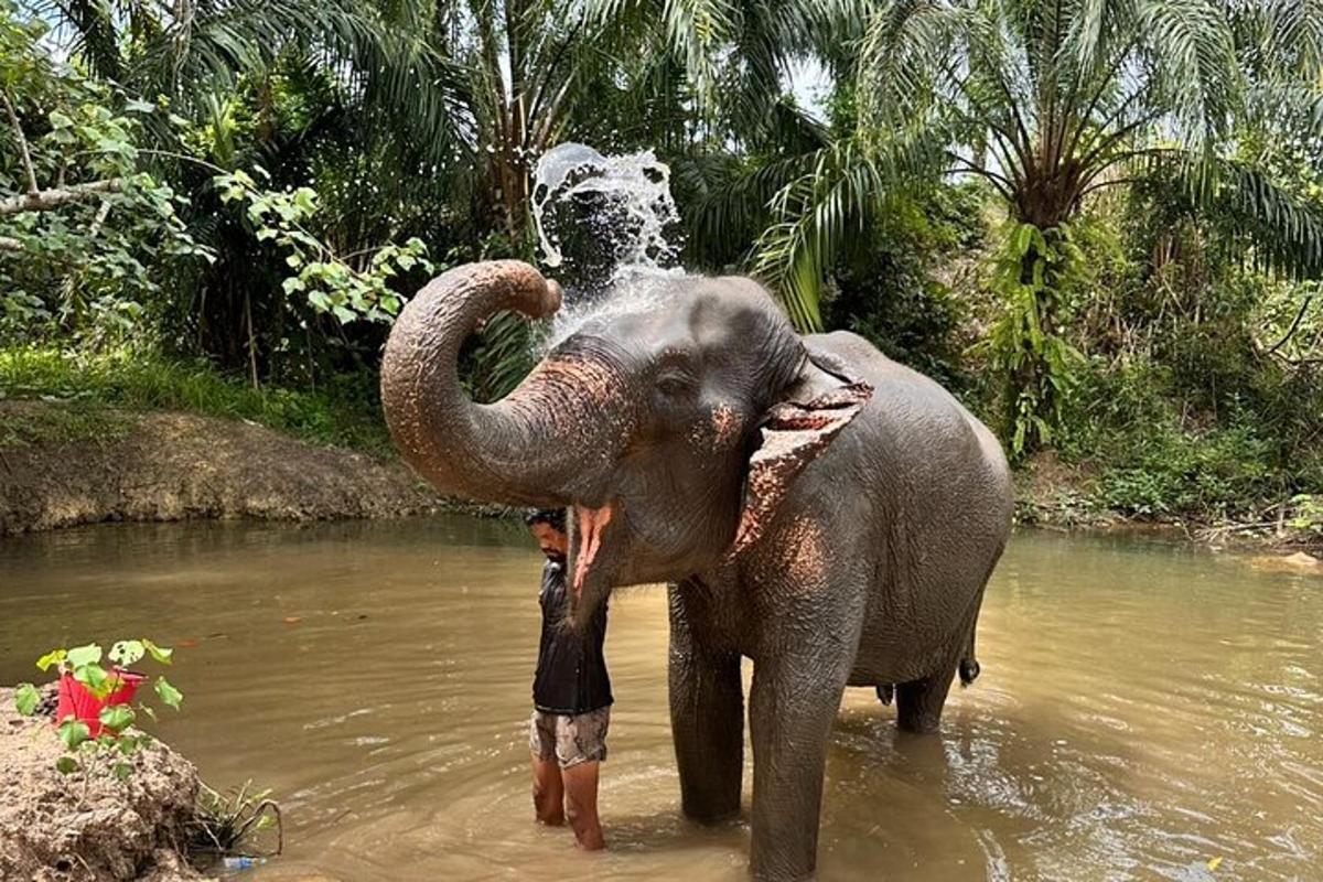 a man standing in the water with an elephant