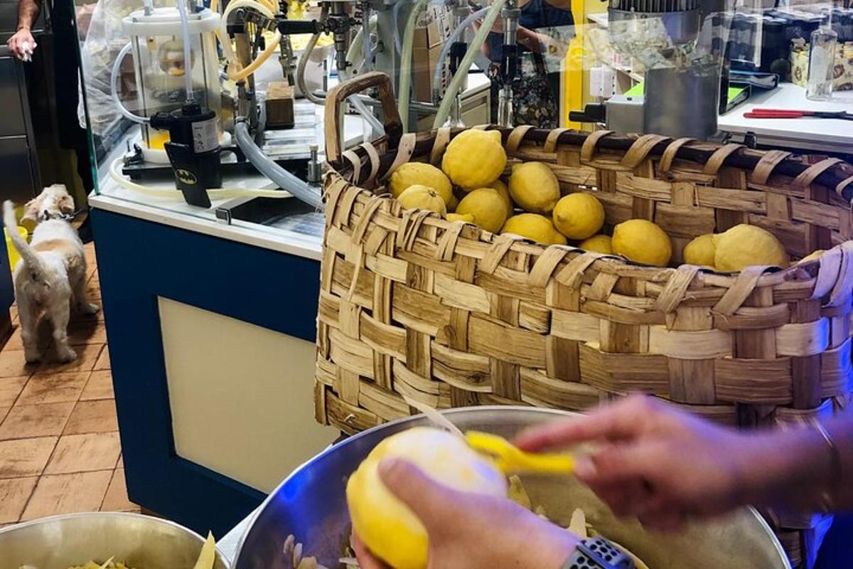 Ένα άτομο ετοιμάζει ένα καλάθι με λεμόνια σε μια κουζίνα