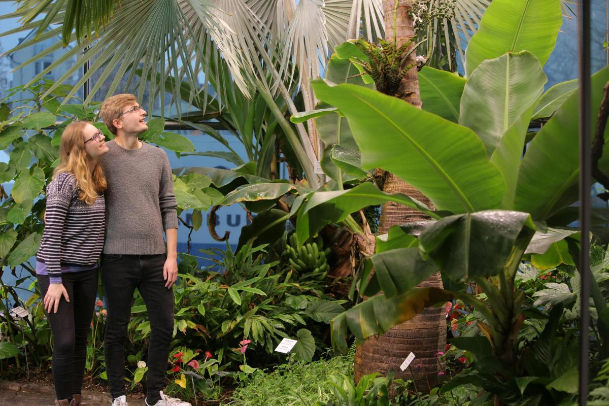 a man and woman standing in front of a garden
