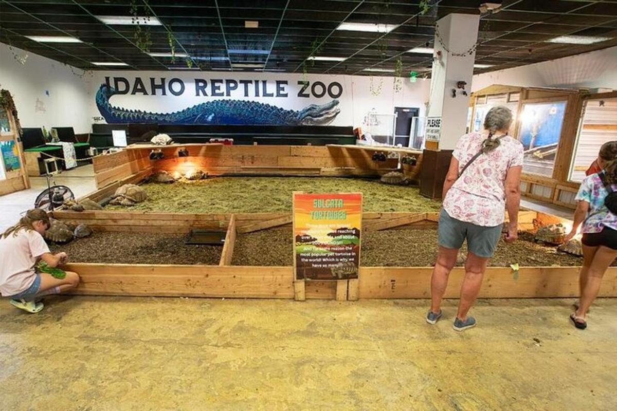 a group of people looking at a display of animals