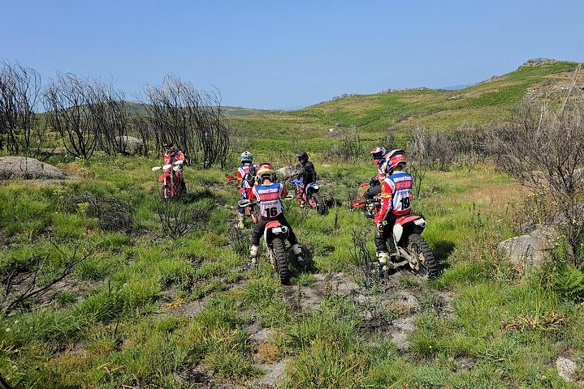 a group of people riding motorcycles on a grassy hill
