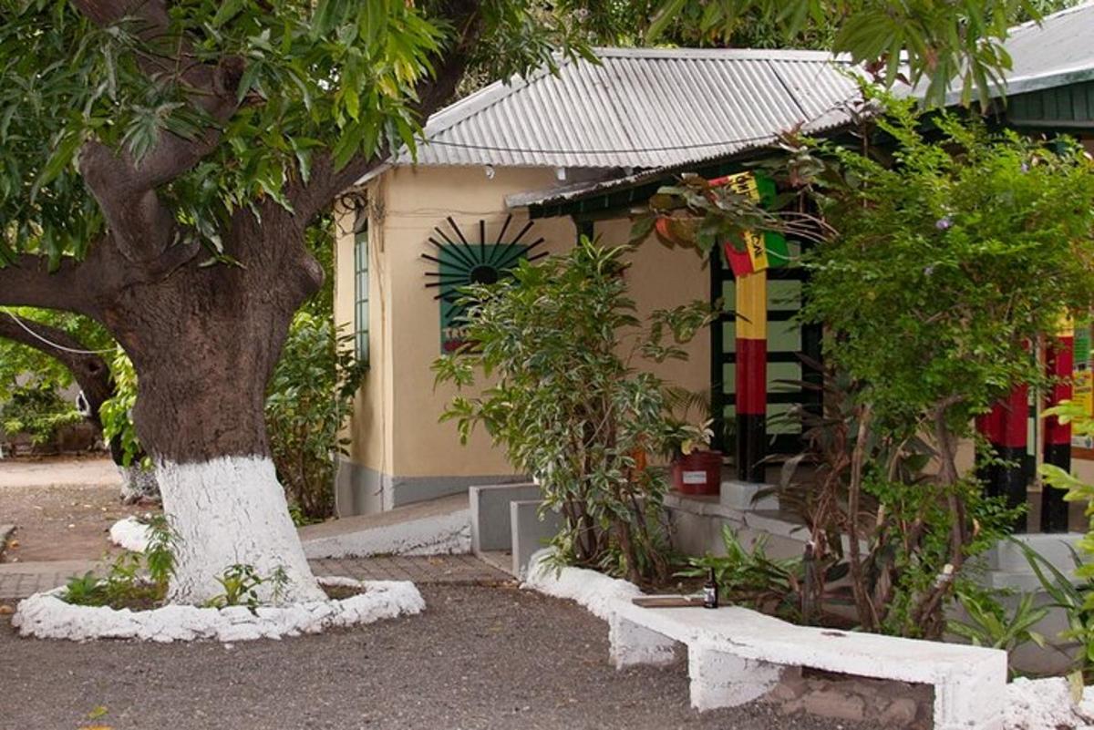 a house with a tree and a bench in front of it