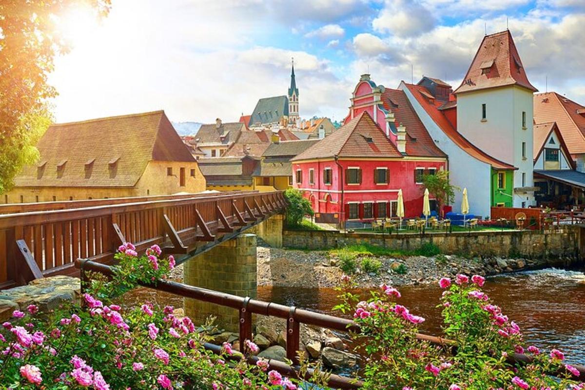 mesto z reko, stavbami in rožami