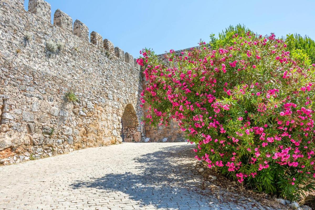 a stone wall with pink flowers on a street