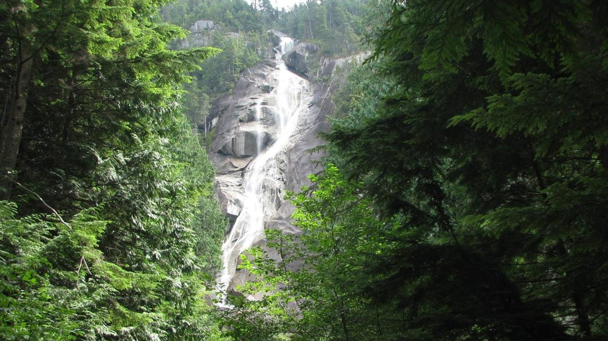 una cascata in mezzo a una foresta