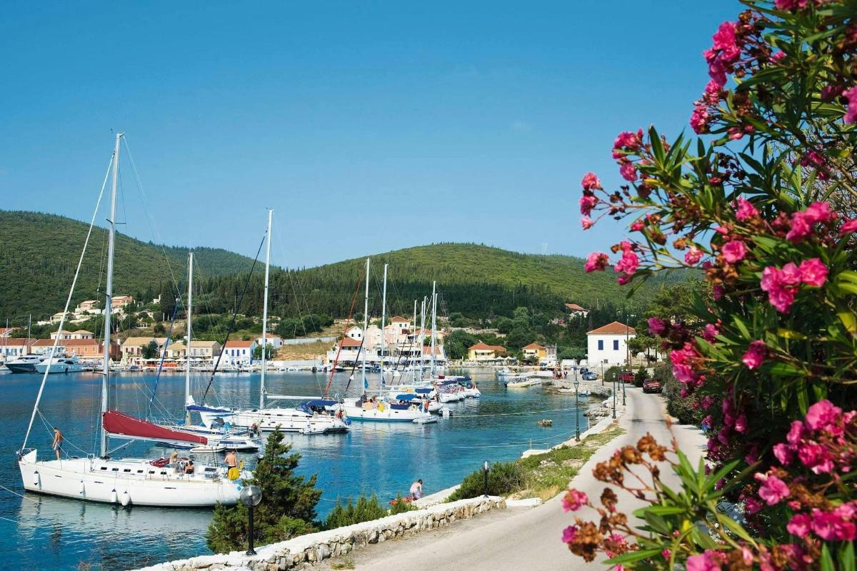 a bunch of boats are docked in a harbor