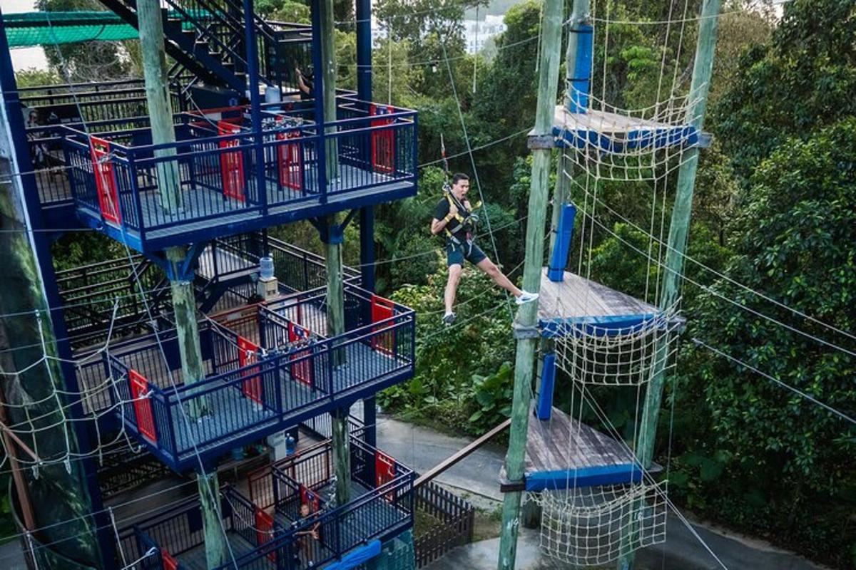 một người đàn ông đang leo trên đường trượt zipline trong rừng