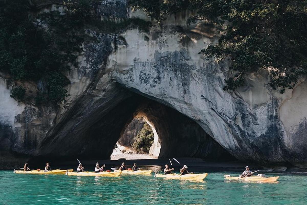 a group of people in kayaks in front of a cave