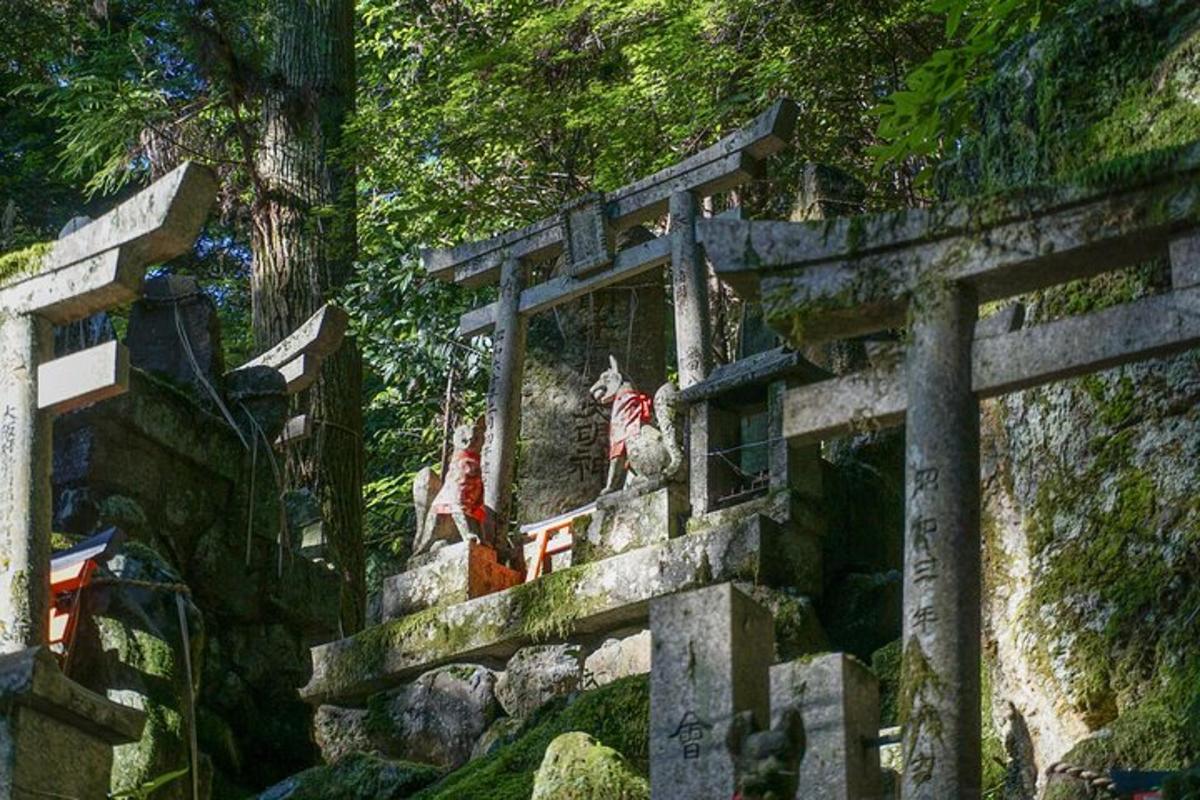 patung beruang duduk di atas dinding batu