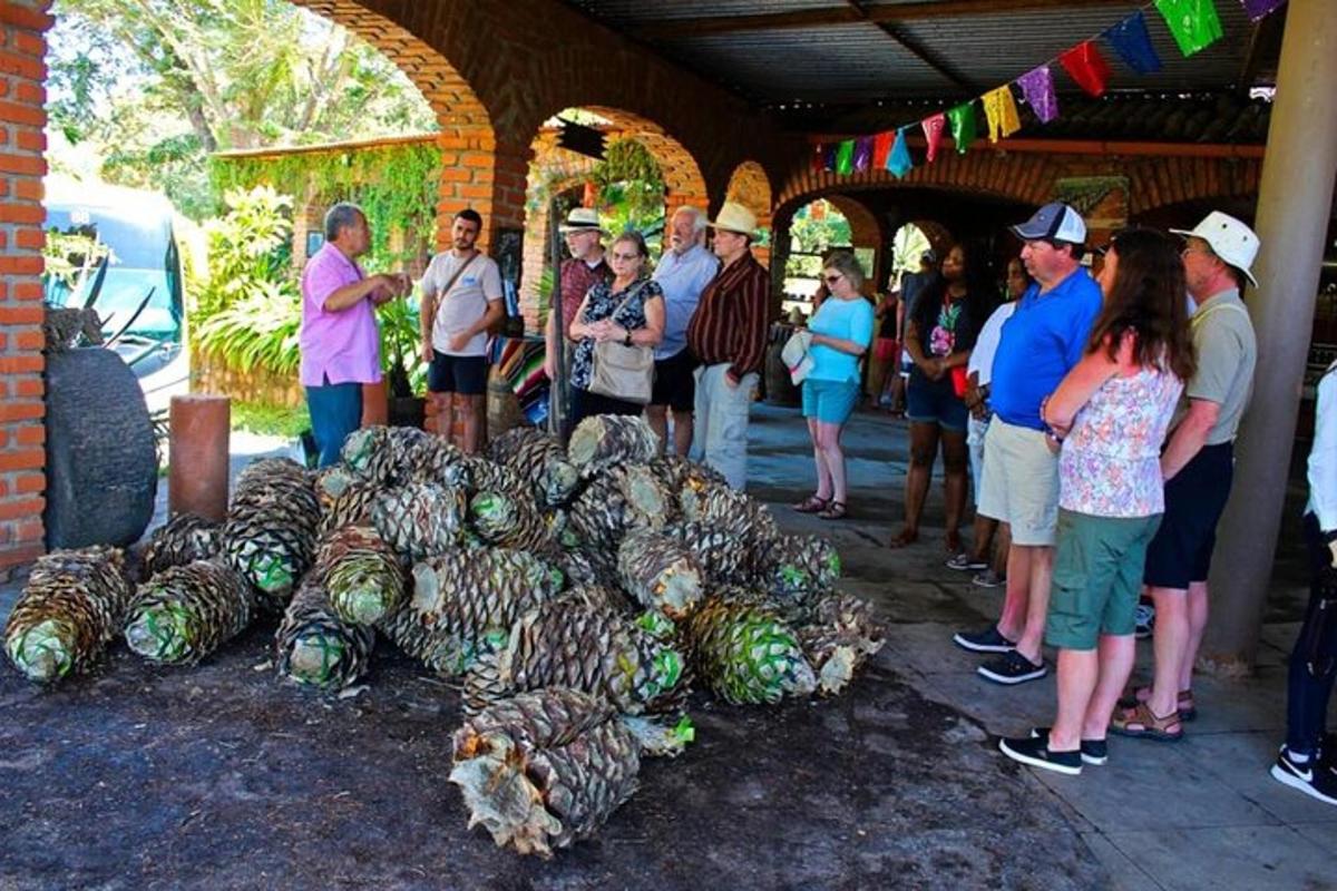 a group of people looking at a display of melons