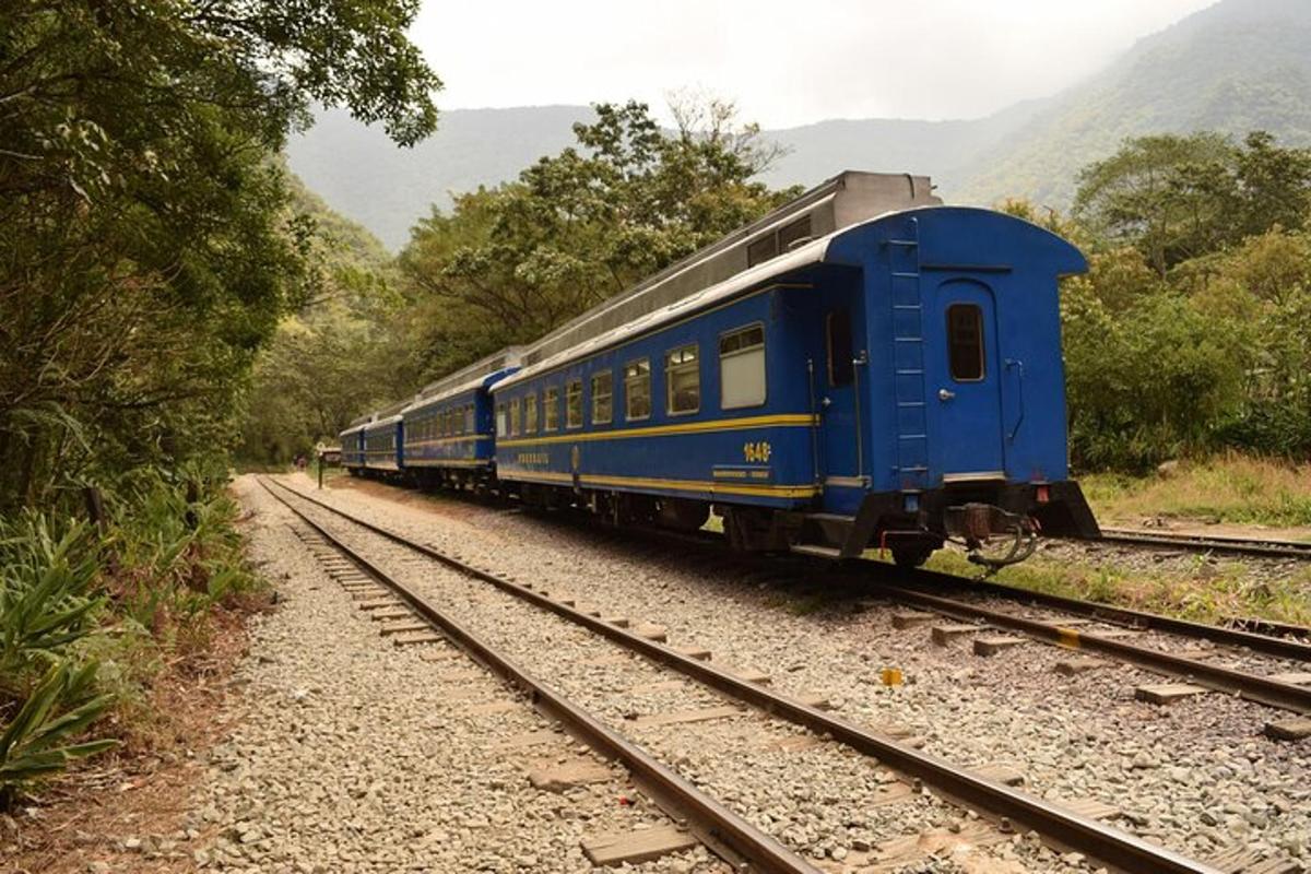 sebuah kereta api biru yang menyusuri landasan dengan pepohonan
