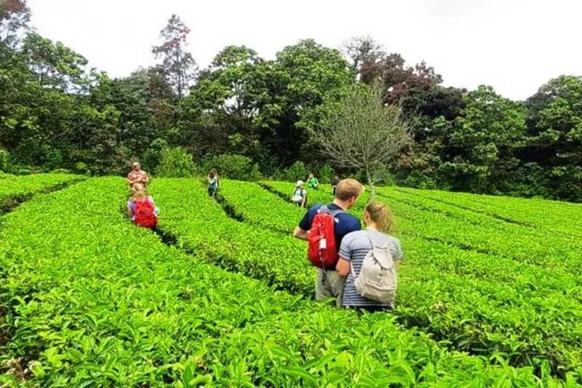 a group of people standing in a field