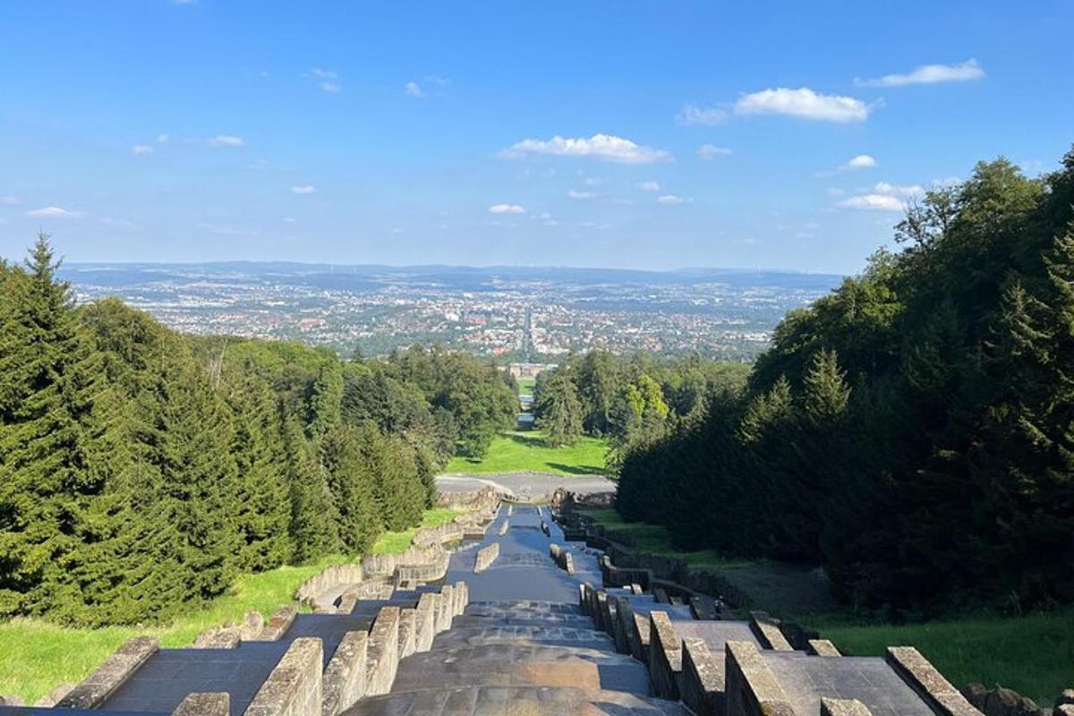 pohled na silnici se stromy po stranách