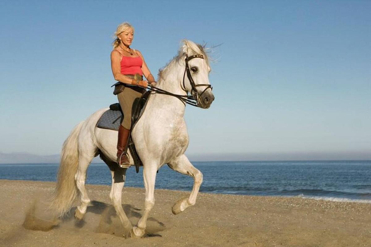 a woman riding a white horse on the beach