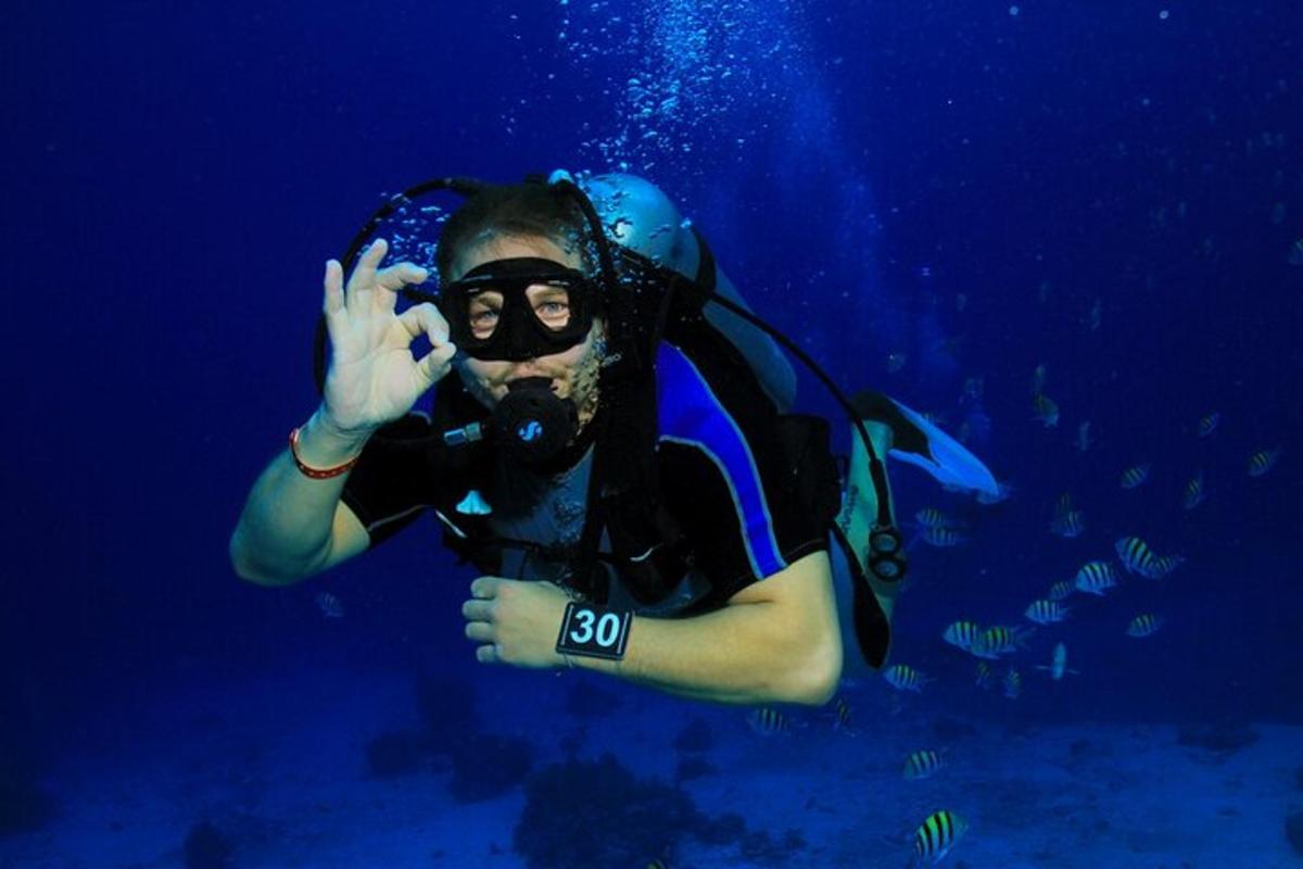 aivedivedivedivedivedivedivedivedivedivedivedivedivedivedivedivedivedived