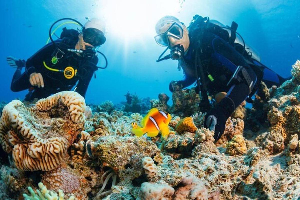 two people in diving gear on a coral reef
