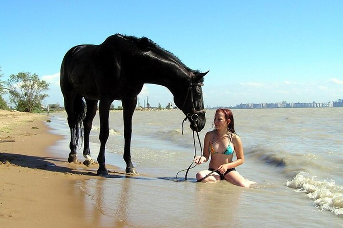 kobieta w bikini siedząca na plaży z koniem