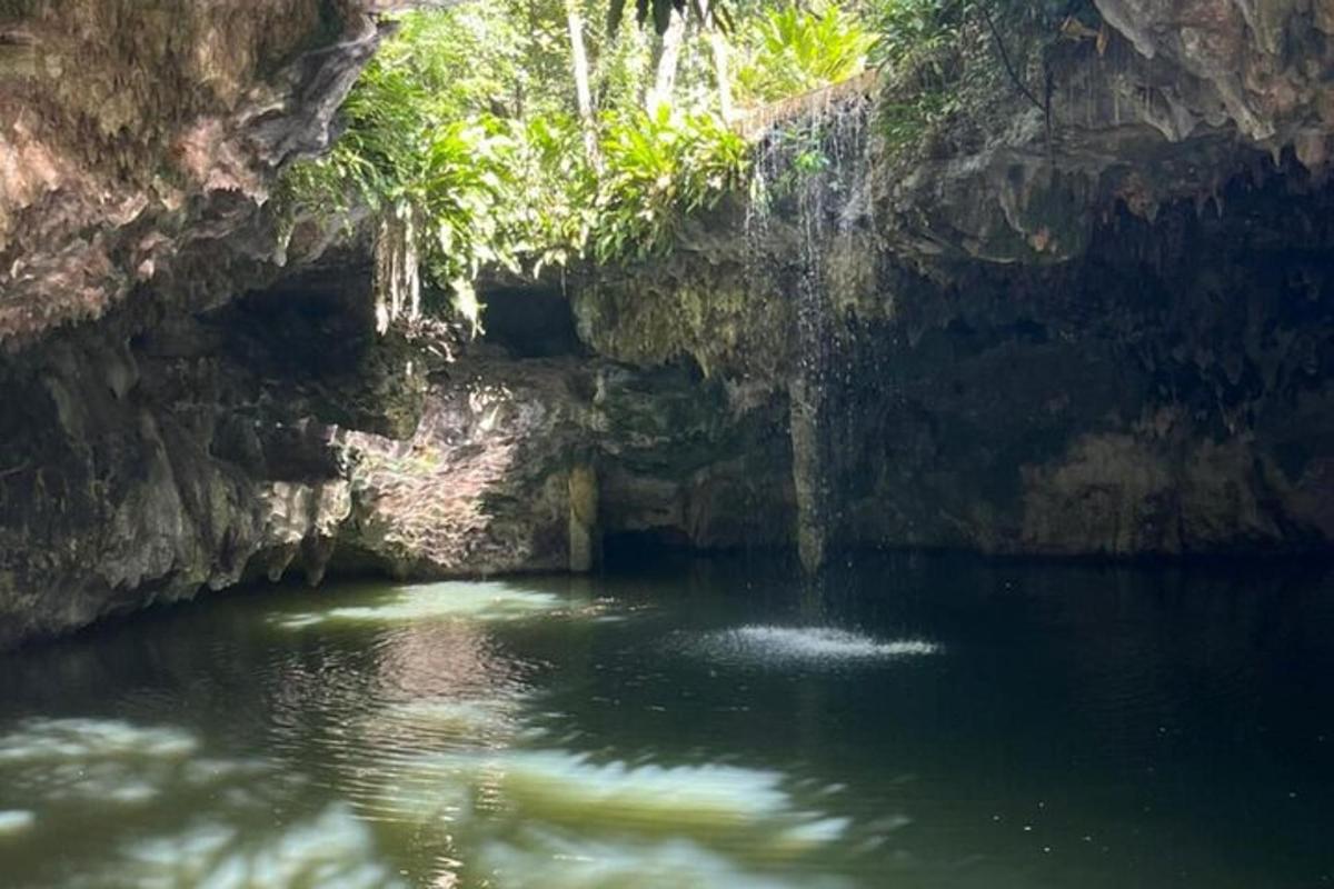 un bassal d'aigua davant d'una cova