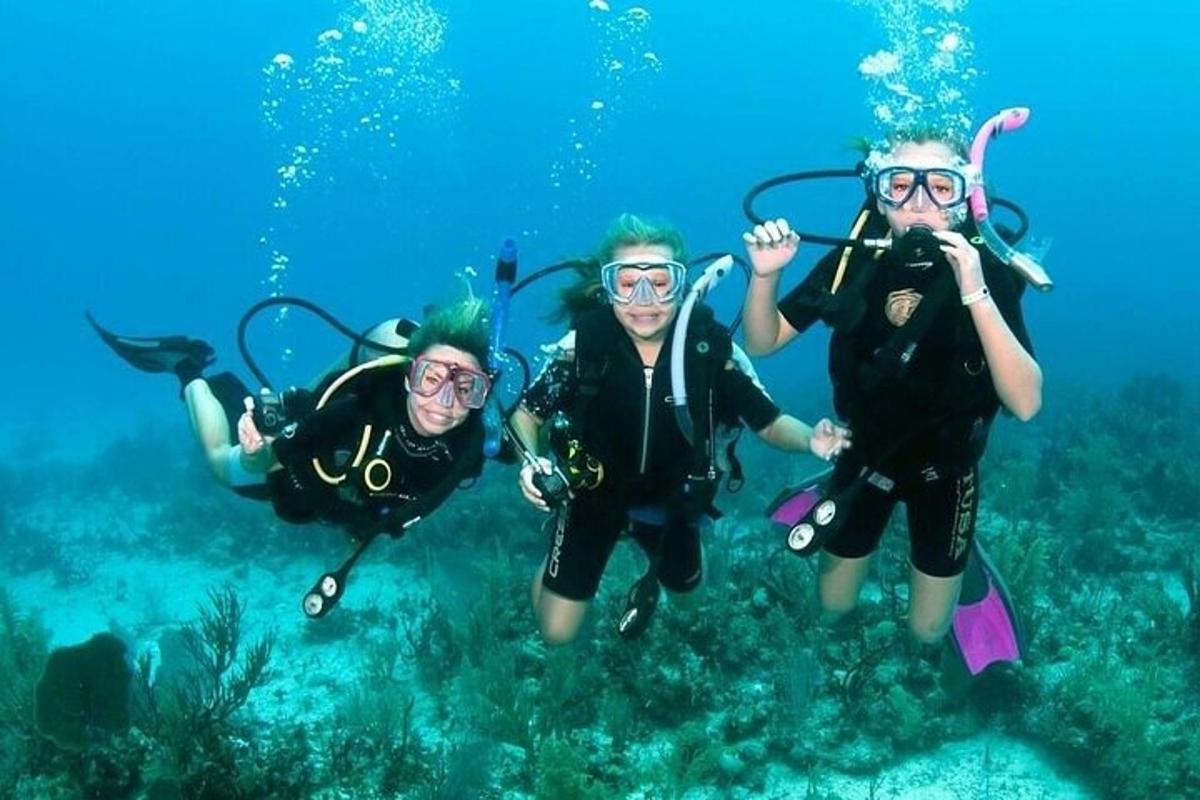 3人が海でスキューバダイビングをしている