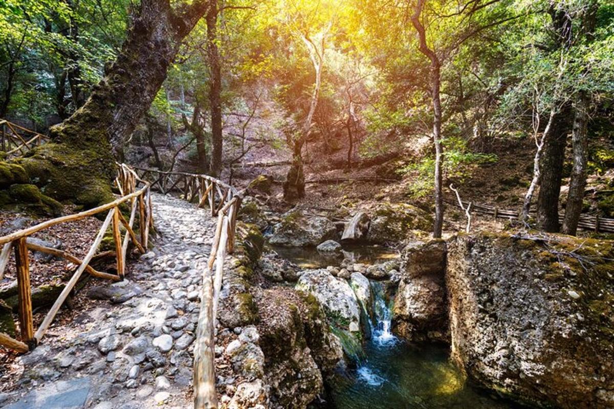 sungai di dalam hutan dengan jambatan dan sungai