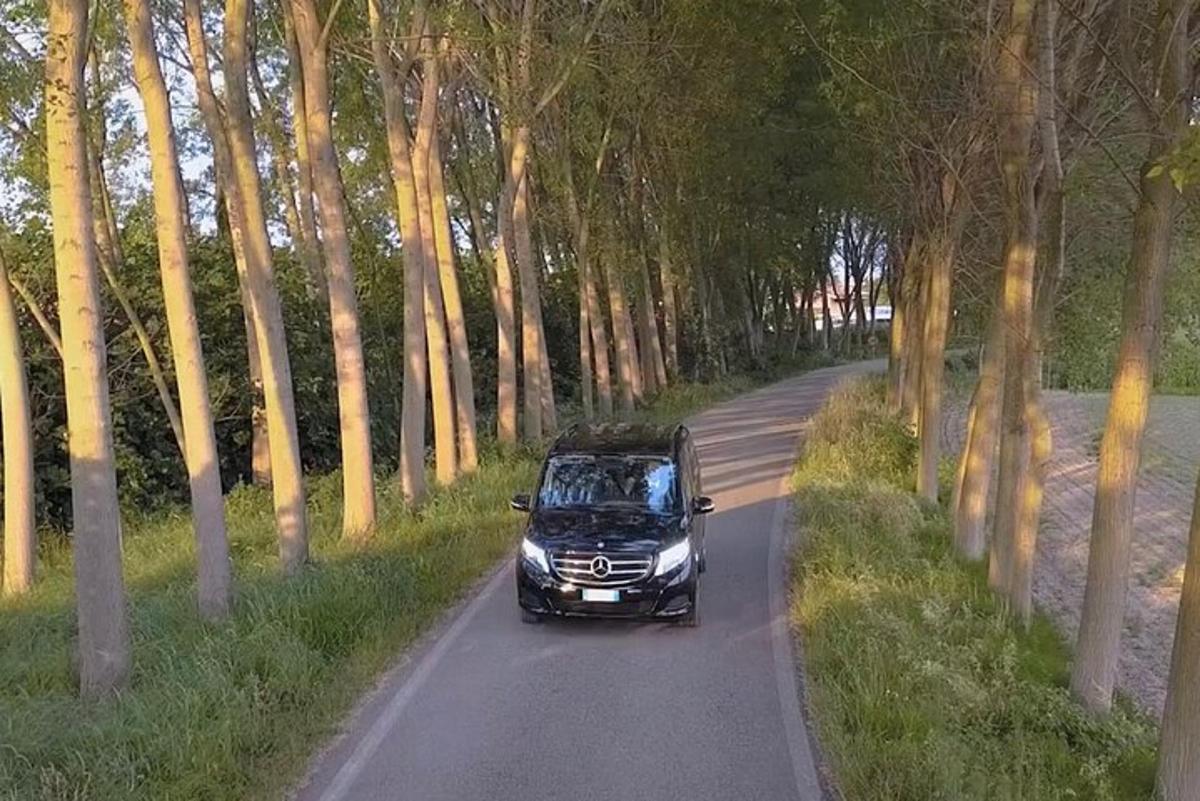 černé auto jedoucí po silnici se stromy