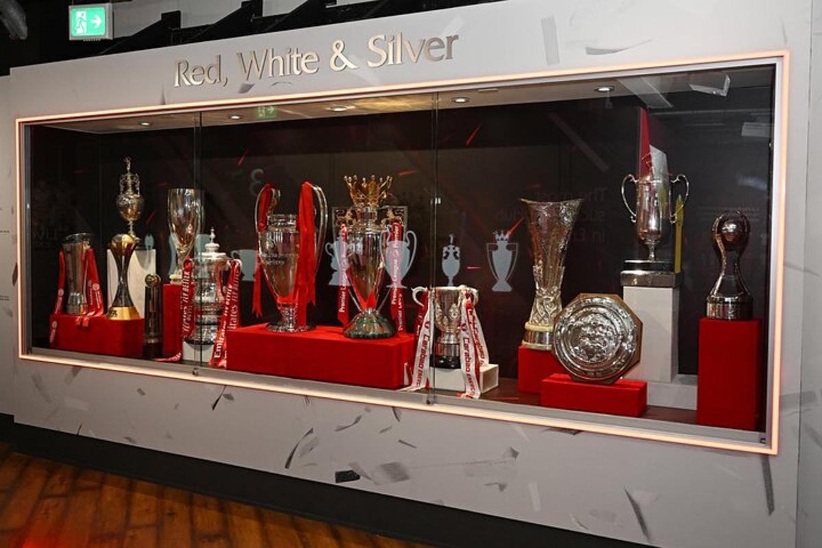 a display case with a bunch of trophies on display
