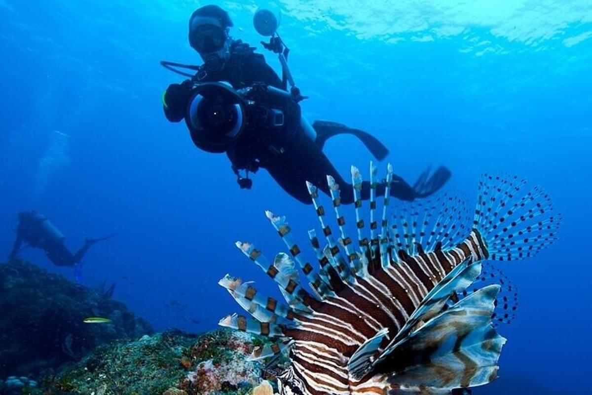 una persona fent una foto d'un peix a l'oceà