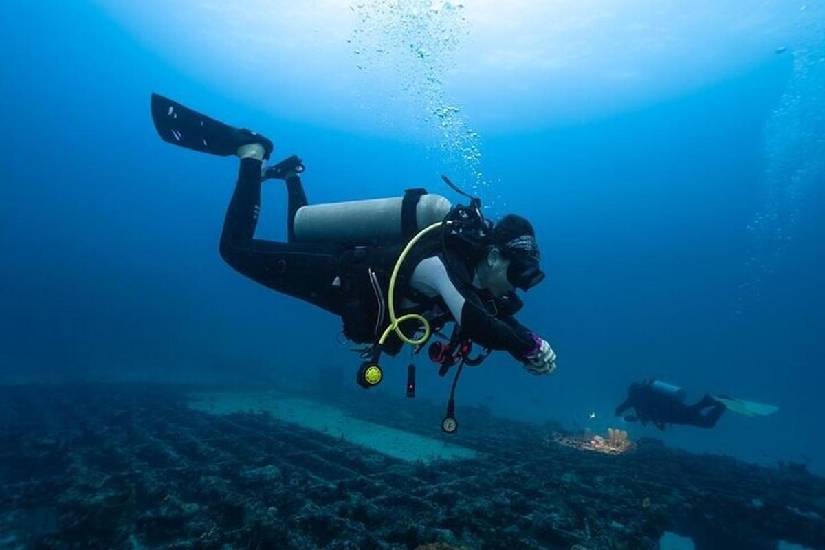 ダイビングスーツを着た人が海で泳いでいる