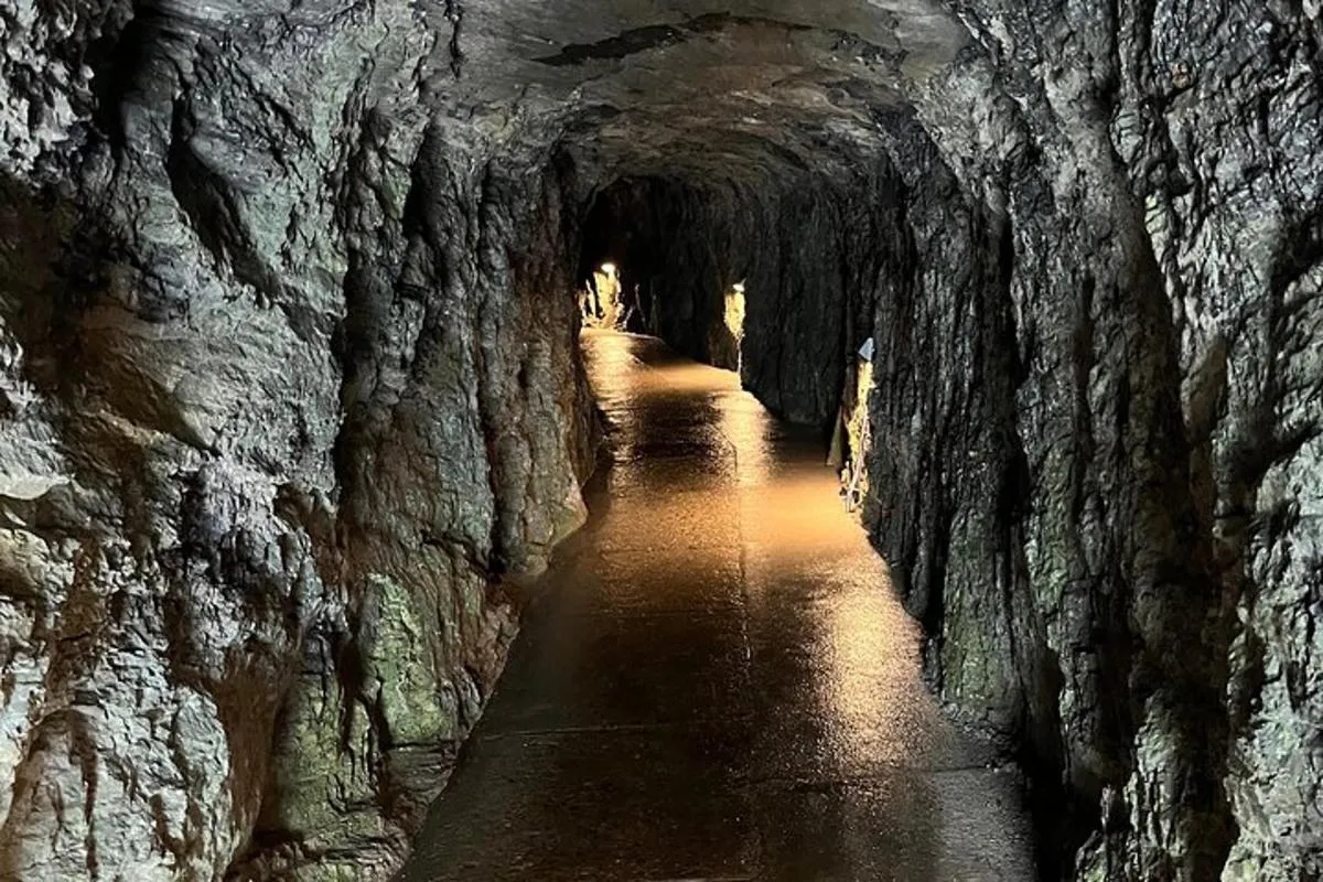 Pilatus, Aareschlucht, Beautus. Visite privée tout compris 1 - 4 – photo 7