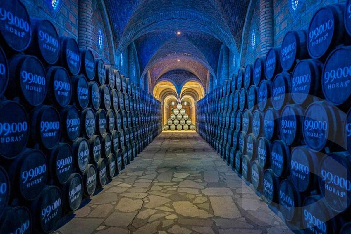 a row of wine bottles in a wine cellar