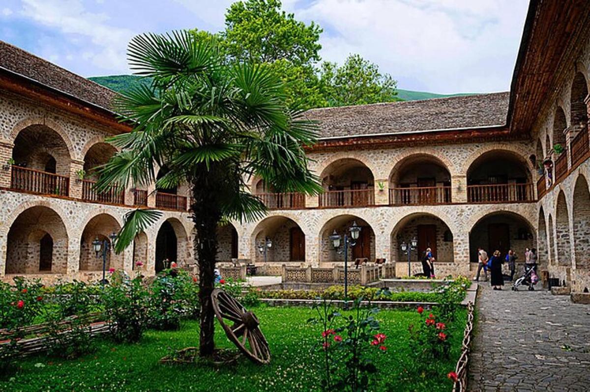a palm tree in the courtyard of a building