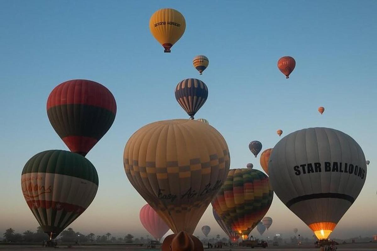 un grupo de globos aerostáticos en el cielo