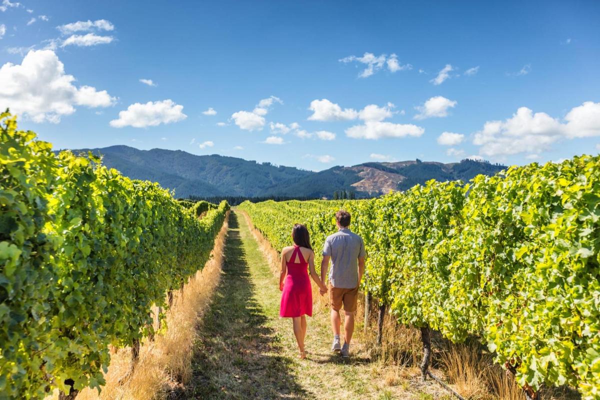 a man and a woman walking through a vineyard